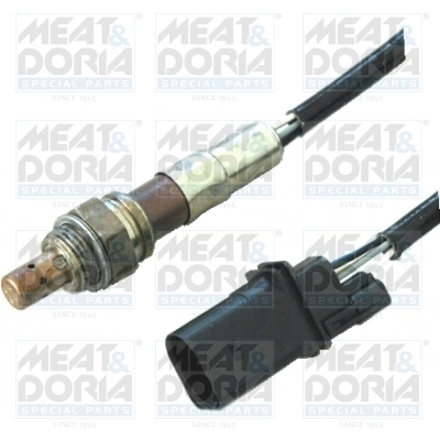 Oxygen Sensor